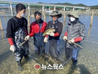 태어난 고향으로 3년 만에 돌아온 슈퍼푸드 연어 첫 포획