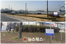 나무는 광고판이 아니에요…여주시, 가로수‧도로변 수목 현수막 게시 금지