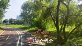안양시, 안양천변 일대 산책로 새 단장…구군포교∼호계대교 하천변 확장