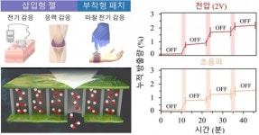 박치영 DGIST 교수 연구팀, 초음파·마찰전기로 약물 주입하는 스마트 패치 개발