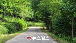 국공유 임도 추석 명절 전후 열린다…5~18일 한시 개방