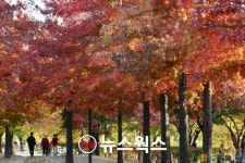 수원시, 아름다운 가을명소로 만석공원·팔달산·중부대로 등 10곳 선정