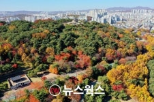 수원시, 아름다운 가을명소로 만석공원·팔달산·중부대로 등 10곳 선정