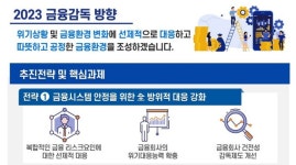금감원 
