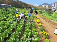 용인시, 시민농장 텃밭 800가구 분양…경쟁률 2.5대 1 기록