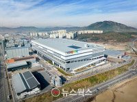 상호출자제한 규제 짊어진 쿠팡…김범석 총수 미지정에 부담 덜어