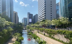 산림청 5월에 꼭 가봐야 할 명품 가로수길 알려드려요