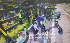 [성남소식] 전동 킥보드 불법 민원 신고방 개설·임종순 시정연구원 원장 ·지역 에너지신산업 활성화 지원사업 선정·경기농협 사랑의 쌀 기탁