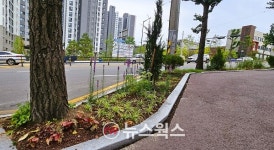 광명시, 시청로~현충공원삼거리 430m 구간에 띠녹지 조성