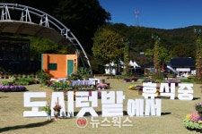 용인시, 14일 기흥호수공원에서 도시농업 체험행사