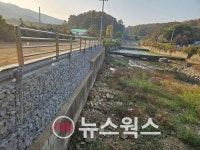 [성남시 소식] 고기로 211번길 토사 유실 긴급 복구·기반시설 안전감시단 통합 발대식·성남 시립동물병원 개소식