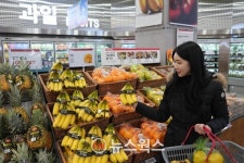 롯데마트, 수입 과일 할당관세 적용…물가안정 20% 할인행사