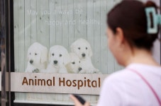 내년부터 동물병원 CT·MRI 비용도 게시해야