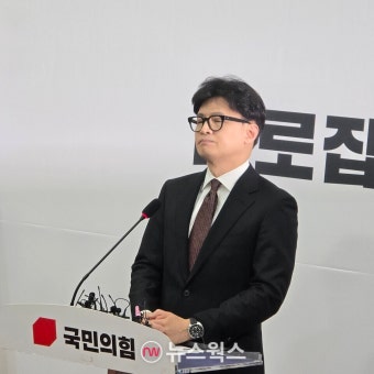 한동훈 국민의힘 대표직 사퇴…