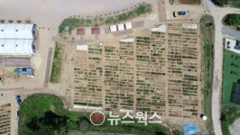 용인특례시, 시민농장 텃밭 분양…도시농부 815팀 모집
