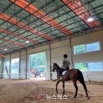 용인시 학생 승마체험 참가자 1267명 모집…강습비 70% 지원