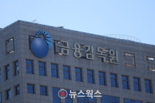 금감원, 해외 파생상품·레버리지 ETP 투자자 보호방안 마련