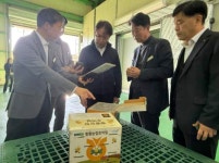 전남농협본부 1농협 1대표사업 장성 황룡농협 호박벌 사업 순항