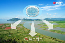 LG전자, 순천시·서울대와 순천만 갯벌 생태계 복원 나서