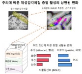 파스퇴르연-동방에프티엘 항균제 개발·ETRI 에지 컴퓨팅 국제표준 승인·IBS 뇌가 주의 조절하는 원리 규명·성락경 교수 백천물리학상... 