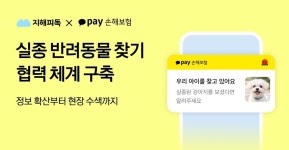 [#금융톡톡] 삼성화재 AI 위험관리·카카오페이손보 실종동물 찾기·농협손보 폭염 캠페인