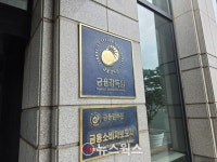 금감원, 보험사 내부통제 점검 강화…GA·1200%룰·상품관리 '3대 과제' 제시