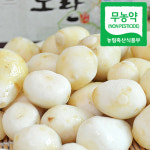 흙 속의 알 토란! 직접 재배 후 고객들과 직거래, 죽곡반송토란농장