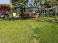 행주산성 맛집 녹향원 왕벚꽃, 철쭉 정원에서 한강을 바라보며 식사할 수 있어