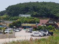 게국지 특허받은 안면도맛집 딴뚝통나무집식당으로 떠나는 안면도 여행