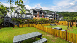 반려견과 함께 하는 여행, 반려견 수영장과 운동장 갖춘 거제도그 펜션에서 즐기자