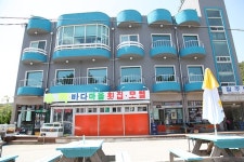 정동진으로 떠나는 강릉 먹거리 여행 맛집 바다마을횟집