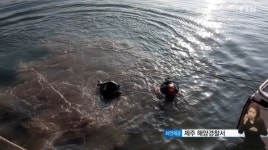 제주도 실종 30대女, 마지막 행적은… 여론 여전한 의심, 왜?
