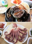 힐링 휴가, 피서지 보양식으로 즐기는 삼척 맛집 삼척전복해물뚝배기