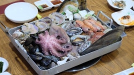 신선한 바다와 거제도 맛집의 조화, 생생이와 해물촌의 식도락 여행