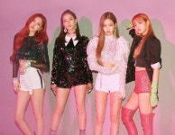 빅뱅 부재에 힘 못쓰는 YG… 블랙핑크 강한 팬덤, 실적 성장 견인할까