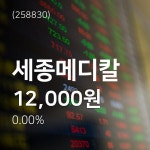(와이어증시종목)세종메디칼 주가주가 차트  19일  현재 12000원
