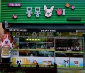 순천 애견분양 응답하라 몽몽이, 전남·경남 지역에서 건강하고 예쁜 강아지 전국 최저가 분양