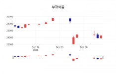 (주가와이어)부광약품 증권 정보 ... 7일  현재 24200원