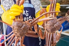부산대게 맛집 일등대게, 2대 째 15년 전통 이어가