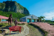 산방산의 아름다움을 담은 곳, 제주도 산방산 맛집 겸 카페 유앤아이와 아리 게스트하우스