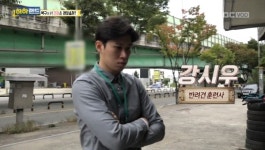 일산에 생긴 시우스쿨링 강아지유치원, 울타리,호텔장 없는 프리미엄 애견유치원?