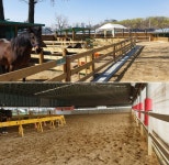 서울근교 가볼만한곳, 경기도 하남 미사리 승마공원…아이도 어른도 즐거운 승마체험 및 동물체험