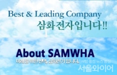 [특징주] 삼화전자·삼화전기, 테슬라 실적호조에 강세(종합)