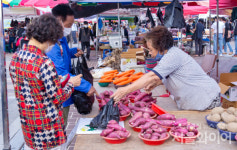 [포토] 활기 찾은 모란시장