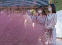 [포토] 핑크뮬리 앞에서 사진 한 컷