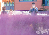 [포토] 핑크뮬리 앞에서 사진 한 컷