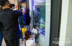 [포토] 안성 스타필드 개장 첫 주말