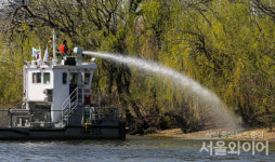 [포토] 밤섬, 봄 맞이 대청소
