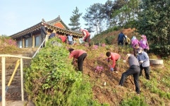 나주 봉황면, 6개 마을 으뜸마을 만들기