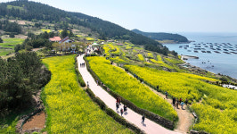 완도 청산도 슬로길, 신지 명사십리 안심 관광지 선정